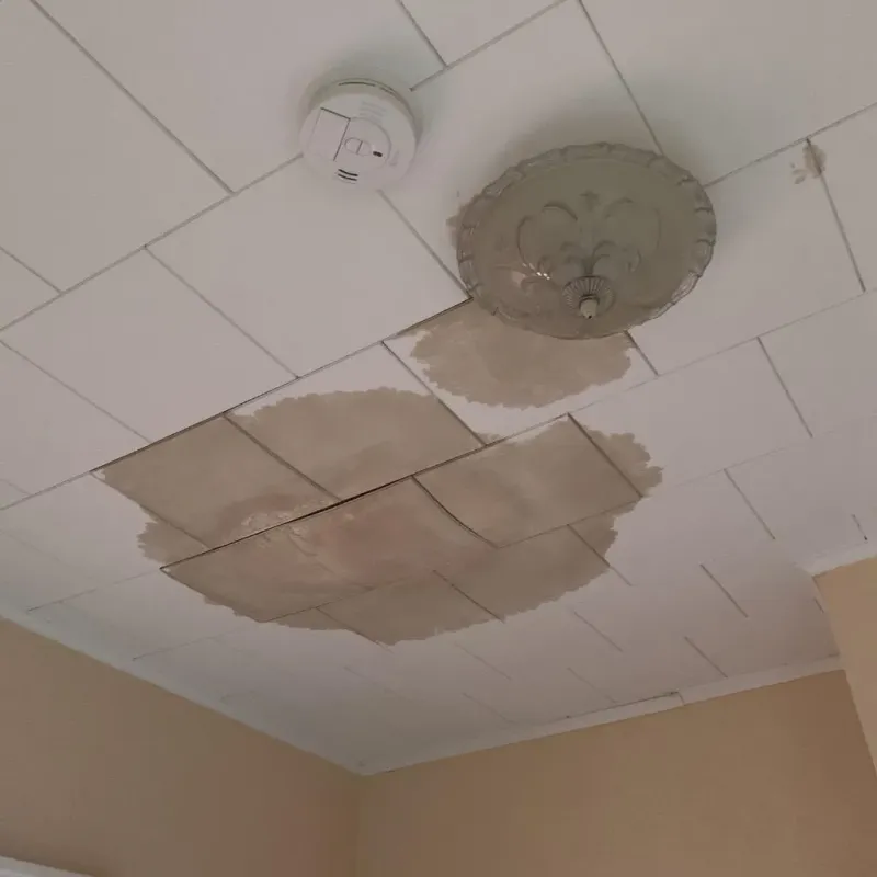 Ceiling Water Damage Repair in Washington County, RI