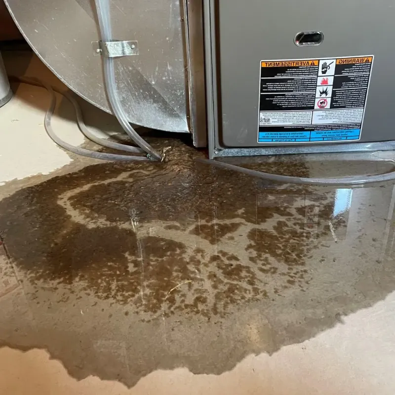 Pipe Burst and Leak Restoration in Washington County, RI
